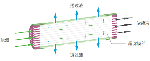 PP电子·仿照器(试玩游戏)官方网站